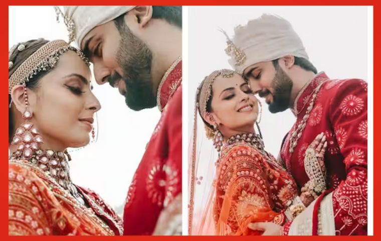 TV Celebrate Shrenu Parikh Marries Akshay Mhatre